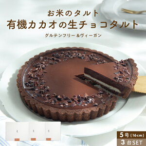 Ẵ^g JJI鐶`R[g^g [ 5^16cm ] yOet[B[Kz B[K^g ĕ^g yY  ĂȂ ccc@Mtg