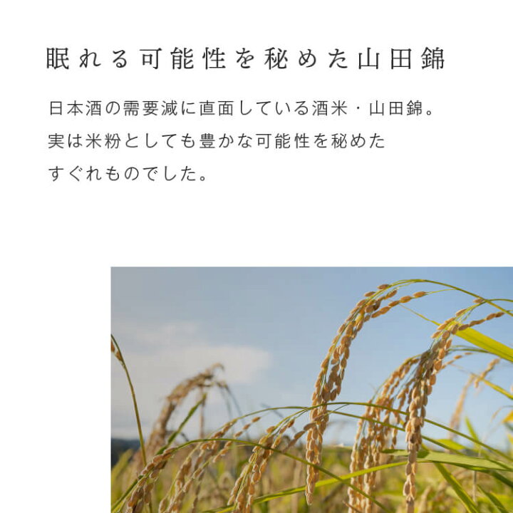 楽天市場】18日限定 1500円OFFクーポン配布中!グルテンフリー 山田錦 サブレ 【箱入り4種アソート(黒胡椒/トマト/ターメリック/ピスタチオ)】田田田堂 米粉 お菓子 クッキー スイーツ 小麦 乳 卵 白砂糖 不使用 アレルギー 対応 無農薬 米 ビーガン ヴィーガン ... 楽天市場】18日限定 1500円OFFクーポン配布中!グルテンフリー 山田錦 サブレ 【箱入り4種アソート(黒胡椒/トマト/ターメリック/ピスタチオ)】田田田堂 米粉 お菓子 クッキー スイーツ 小麦 乳 卵 白砂糖 不使用 アレルギー 対応 無農薬 米 ビーガン ヴィーガン ...