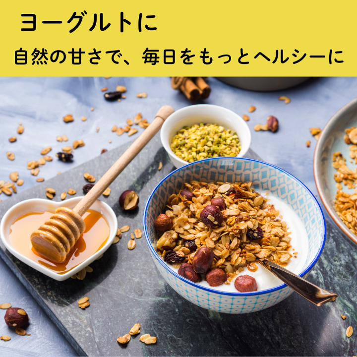 ✨アカシア蜜１０本　生はちみつ　自家製蜂蜜 アカシアハニー チューブボトル500g/ 箱なし簡易包装・手提げ袋
