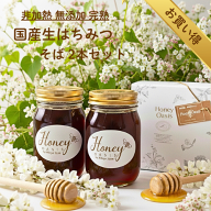 【ランキング1位獲得】蕎麦はちみつ 国産はちみつ そば 蕎麦 ソバ 500g 2本セット パンのお供 お中元 御…