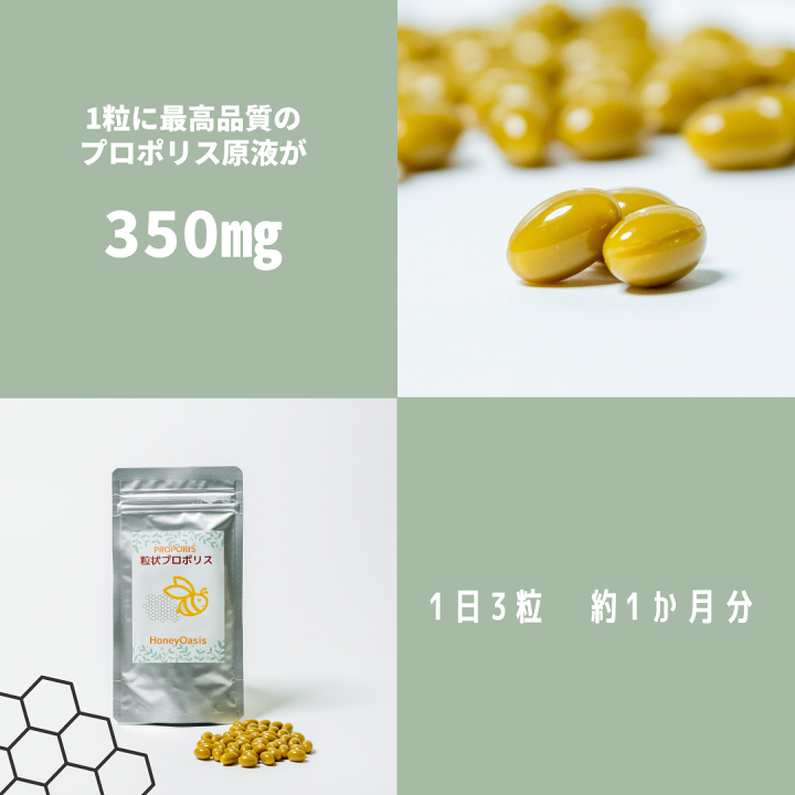 楽天市場】＼送料無料／ 約1か月分 高品質 グリーンプロポリス