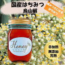 楽天市場】純粋ハチミツ 非加熱 500gの通販