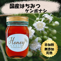 ケンポナシ はちみつ 600g 2本 2024年 青森県産 2024年採蜜】けんぽなし蜂蜜（青森県産）シングルオリジンハニー