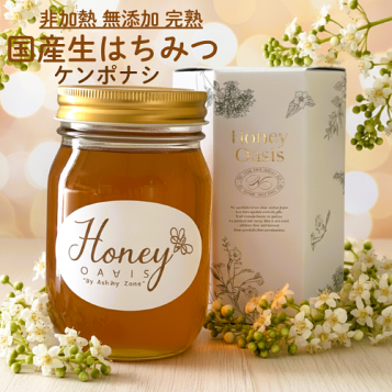 楽天市場】国産 南紀 熊野蜜 日本みつばち 蜂蜜 500g はちみつ 和歌山