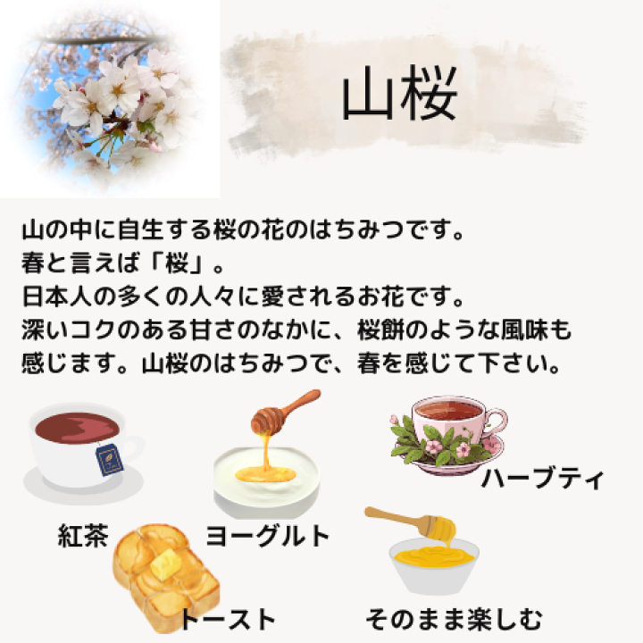 ゆかすけ　アカシアのはちみつ 300g×2本・藤のはちみつ 150g×4本 ゆかすけ様専用 アカシアのはちみつ 300g×2本・藤のはちみつ