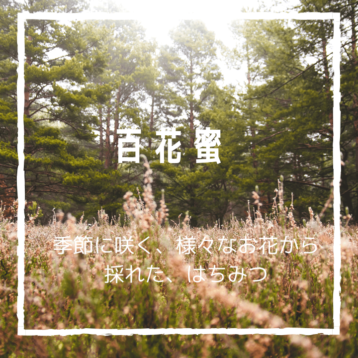 楽天市場】新蜜入荷！ ＼ランキング1位獲得／国産はちみつ 春の野山