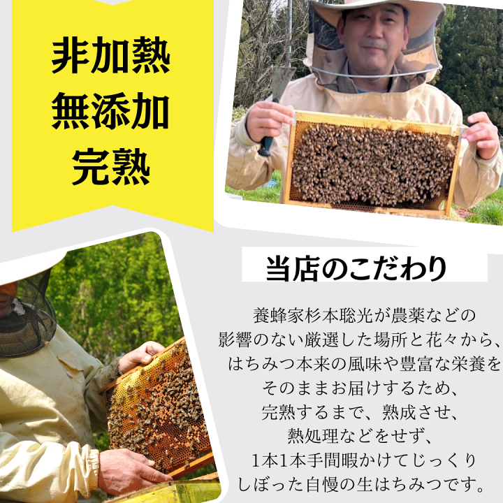 楽天市場】国産はちみつ 卯の花 500g×2本 非加熱はちみつ 国産はちみつ