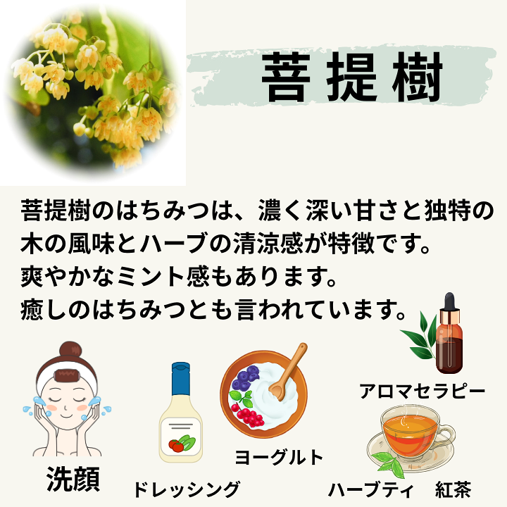 天然純粋はちみつ100%菩提樹の蜂蜜32本☆送料無料☆ gr583hfc_700.png