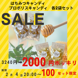 マラソン期間3240円→2000円 ＼ランキング1位獲得／ はちみつキャンディ 80g×2袋 プロポリスキャンディ80g×2 袋 のど飴 ギフト 新年 国産 はちみつ飴 美味しい 飴 はちみつ お菓子 はちみつのど飴 蜂蜜 ハチミツ 純粋はちみつ 喉 ケア のど 乾燥 美味しい飴 喉の痛み