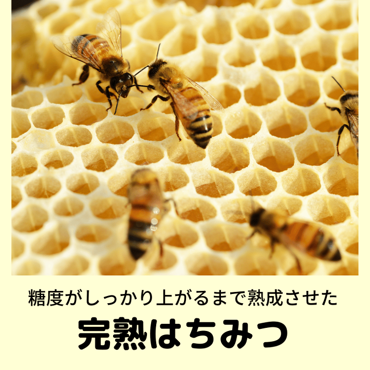 楽天市場】【ランキング1位獲得】【お買い得】 完熟 国産 生はちみつ