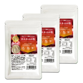 カムカム 粉 粉末 パウダー カムカムパウダー 30g×3袋セット 無農薬 カムカムの粉 送料無料 天然ビタミンC スーパーフルーツ スーパーフード ビタミンC