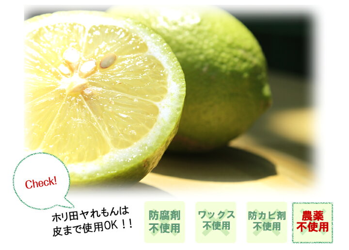 76%OFF!】 愛媛県産 国産レモン 小玉 果物 レモン 国産 農薬不使用 フルーツ 柑橘 millenniumkosovo.org