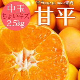 【2024年3月中旬以降に発送開始予定】送料無料 甘平 性格美人(キズ) 中玉 2.5kg ◆ 愛媛県 大三島 お取り寄せ 国産 みかん 蜜柑 柑橘 愛媛みかん 果物 フルーツ 訳あり わけあり グルメ