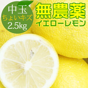 無農薬 レモンの通販 価格比較 価格 Com 無農薬 レモンの通販 価格比較 価格 Com