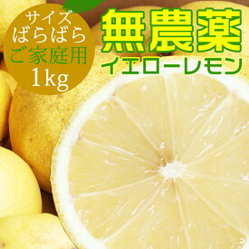 楽天市場 無農薬 レモンの通販 楽天市場 無農薬 レモンの通販