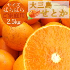 送料無料 せとか 家族想い(家庭用) サイズばら 2.5kg ◆ 愛媛県 大三島 お取り寄せ 国産 みかん 蜜柑 柑橘 愛媛みかん 果物 フルーツ 訳あり わけあり グルメ