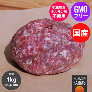 ���q �a�� �Ђ��� ���� ���Y ��`�q�g�����s�g�p 100g �Ⓚ �Ԑg ���Y�� �z�������ܕs�g�p �R�������s�g�p �z�������t���[ �ō��i��