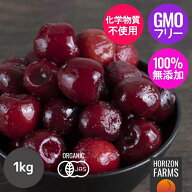 有機 JAS オーガニック フルーツ 冷凍 ダークスイートチェリー トルコ産 化学物質不使用 1kg 無添加 サク…