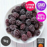 冷凍 オーガニック フルーツ ワイルド ブラックベリー セルビア産 化学物質不使用 1kg 無添加 オーガニッ…