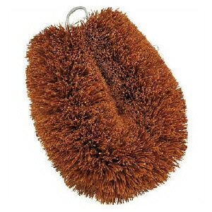 T̎q킵 1 pi Lb`pi X|W 킵