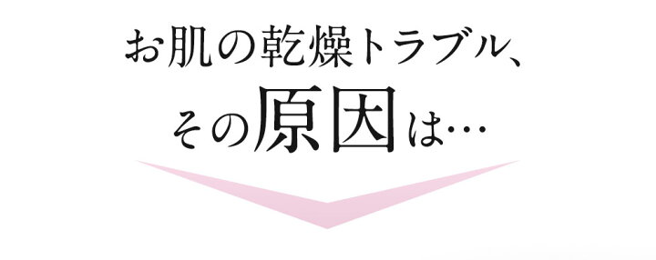 SALE／62%OFF】 うるおい宣言セラミドプラス アサイー味 3108 初回限定 1箱 30本入 コラーゲン ゼリー コラーゲンゼリー セラミド  usviptravel.com