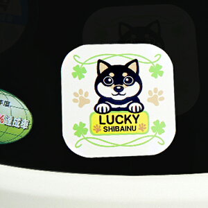 ybg̃XebJ[iԁj킢̃CXg