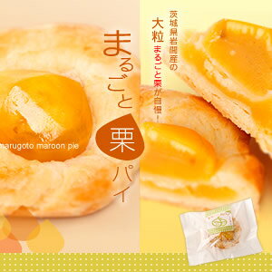 y܂邲ƌIpCzI@pC@܂邲Ɓ@ԎY@}Q@}@Y@XC[c@aَq@mَq@amܒ@TNTN@Ƃ@ØI