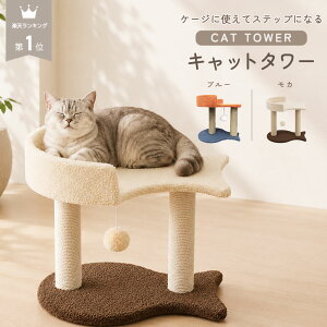 【 10日〜6000円以上購入で10%OFF CP 新発売 】 キャットタワー ミニ 低い うお座型 小さめ 小型 おも