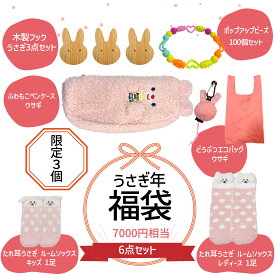 【 18日限定最大P5倍 】 福袋 6点セット キッズ 女の子 ペンケース 木製フック ルームソックス 靴下 エコバッグ ビーズ うさぎ ウサギ 卯年 プレゼント かわいい おしゃれ 贈り物 ハッピーバッグ 小学生 低学年 幼稚園 保育園 子供