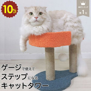 y 420` 10%OFF z~j Lbg^[ ^ t  qL VjA X u  ^s ^ Xebv Q[W 2i L^[ ܌  |[ ܂Ƃ ^ 