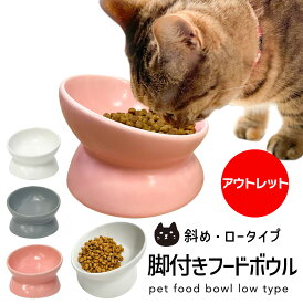 【 5%OFFCP配布中 アウトレット 】 脚付きフードボウル 斜め ロータイプ 猫 餌皿 エサ皿 食器 エサ 餌入れ 犬 子犬 子猫 傾斜 高い おしゃれ かわいい おすすめ 陶器 高さがある 脚 ペット お皿 台 食べやすい 水 高め セラミック 新商品 送料無料