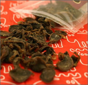 y   zǂƂ hbg `bvX{ y H 育͂ ӂ肩 gbsO hbO t[h pt[h a GT   ͂ i dog yV z