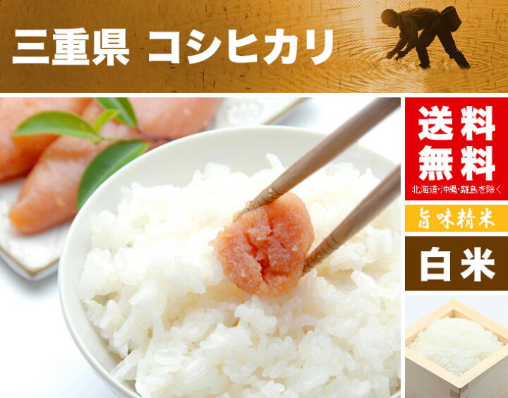 楽天市場】三重県 コシヒカリ 令和7年 米 2kg 5kg 10kg 15kg 20kg 25kg 