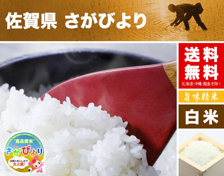 楽天市場 さがびより 5kg 送料無料 佐賀県 令和3年産 21年 米 白米 特a 米 5キロ お米 の ギフト 内祝い お祝い お返し に 熨斗 のし 名入れ 可 お米の通販 五十歩屋 いがほや