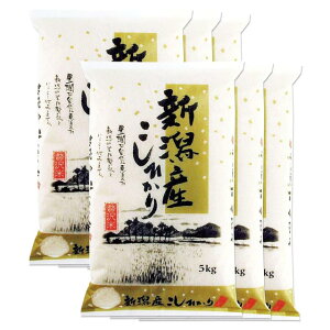 新米 令和7年 新潟県 コシヒカリ 米 2kg 5kg 10kg 15kg 20kg 25kg 30kg 送料無料 新潟 新潟産 こしひかり お米 白米