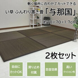 【セール開始4h限定クーポン】 置き畳 70cm ユニット畳 置き畳 半畳 い草 与那国 70×70×1.7cm 2枚セット ブラウン 敷くだけ 軽量 ふっくら 置くだけ 大島屋 オールシーズン 昼寝 ごろ寝 畳 マット フロアー畳 抗菌 消臭 防汚 防カビ 防音 衝撃軽減 フリーカット