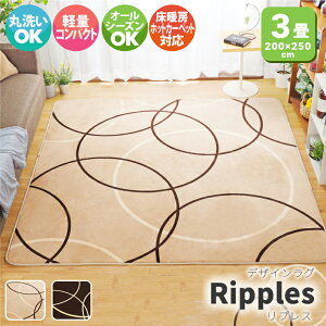 􂦂郉O zbgJ[ybgΉ 3 200×250cm  J[ybg T[N k E^10mmJo[ k 􂦂  ~ I[V[Y 킢 ӂӂ킠yEkC