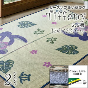 y]ˊԁ@ܔԁ@2.5@176cm×230cm@@DweBt@j[xu[ ӂ藠H@@Rہ@L̓Ăh~@@@ @@@@