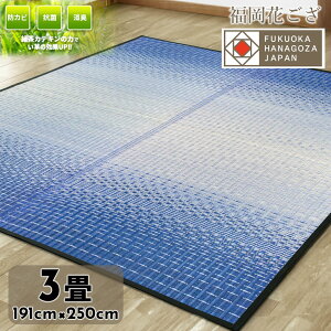 �����Ԃ����@3���p�y���S�E���S�̓��{���z��D �������O 191×250cm �����` ������� ���_�� ���L�@�R�ہ@�����b�N�X�@�h�J�r�y���������z�i�֓��ԁE�c�ɊԁE�ܔ��ԁj���[�Y�i�u���@�V���i