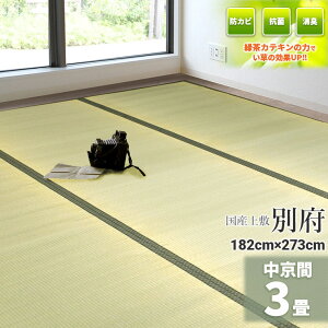 ГƎ̗ΒJeLtHyYz  6 286cm×382cmy{ 6z wʕ{x@ VR C 䑐 O ~ ̏ɕ~́@ O Rf  ~ t[O z