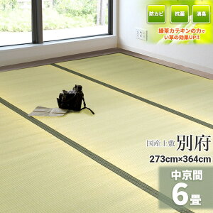 ГƎ̗ΒJeLtHyYz  6 273cm×364cmy  6z wʕ{x VR C O ~ ̏ɕ~ O  ~ t[O   ^^~@