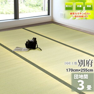 ГƎ̗ΒJeLtHyYz  3 170cm×255cmycn 3z wʕ{x VR C O ~ ̏ɕ~ O  ~ t[O zc   