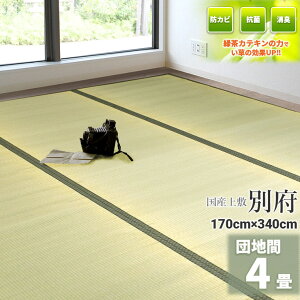 ГƎ̗ΒJeLtHyYz 4 170cm×340cmycn 4z wʕ{ x VR C O ~ ̏ɕ~ O  ~ t[O zc  ݁@