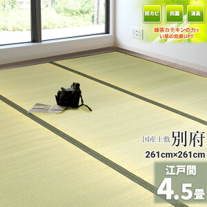 ГƎ̗ΒJeLtHyYz  4.5 261cm×261cmy]ˊ 4.5z wʕ{x VR C O ~ ̏ɕ~ O  ~ t[O  ݁@Β@