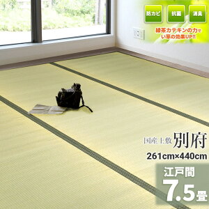 ГƎ̗ΒJeLtHyYzY  7.5 261cm×440cmy]ˊ 7.5z wʕ{x VR C O ~ ̏ɕ~ O  ~ t[O zc  