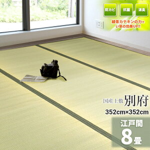 ГƎ̗ΒJeLtHyYz 8 348cm×348cmy]ˊ 8z wʕ{x VR C O ~ ̏ɕ~ O  ~ t[O zc  ݁@