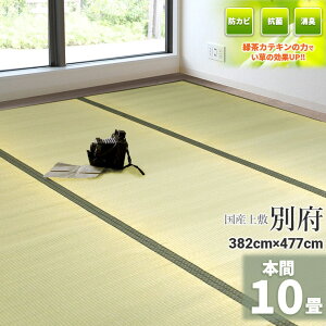 ГƎ̗ΒJeLtHyYz  10 382cm×477cmy{ 10z wʕ{x  VR C 䑐 O ~ ̏ɕ~ O  ~ t[O zc  