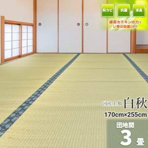 Igusa WorldƎ̗Β! wHx Y cn 3 170×255cmyoڐD ~   J[ybg }bg~ 䑐 C O  Y100% 3 Y~  ̓