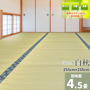 Igusa WorldƎ̗Β! wHx Y cn 4.5 255×255cmyoڐD ~   J[ybg }bg~ 䑐 C O  Y100% 4.5 4 l Y~