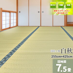 Igusa WorldƎ̗Β! wHx Y cn 7.5 255×425cmyoڐD ~   J[ybg }bg~ 䑐 C O  Y100% 7.5 7 Y~  